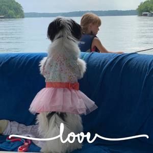 Meet your Posher, Tiffany